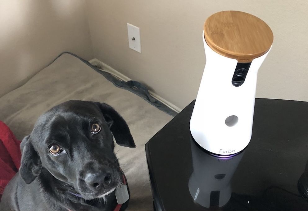 unboxing the furbo smart pet camera at smart pet toys review